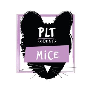Frozen Jumbo Mice