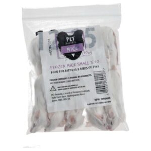 Frozen Small Mice