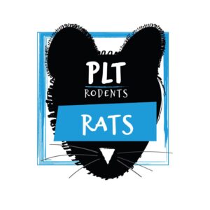 Frozen Rat Pups
