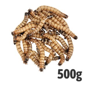 Morioworm 500g