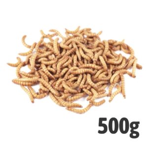 Mealworm 500g