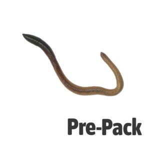 Lob Worm