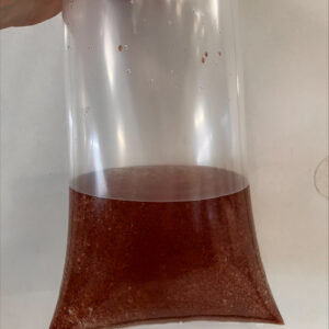 Daphnia High-density bags (equivalent to approx 40 small bags)