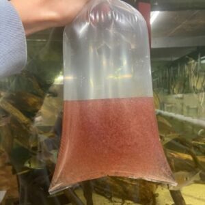 Brine Shrimp ProductsHigh-density bags (equivalent to approx 40 small bags)