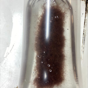 Blackworm — High Density (Equivalent to approx 40 single ffeds)