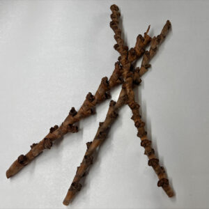 Buriti Twig 40cm