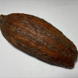 Cacao Pod