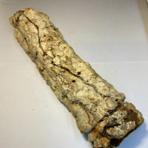 Casca Oca Cork Tube