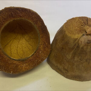 Coconut Cup 13-16xm