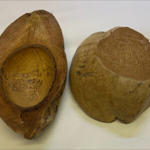 Coconut Half 13-16cm