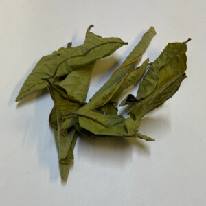 Mango Leaves x 10 (Labelled and barcoded)