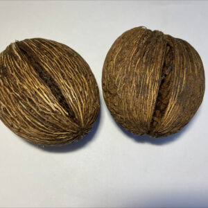 Mintolla Ball