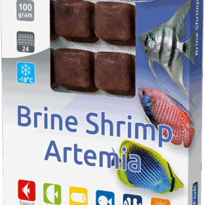 Brine Shrimp