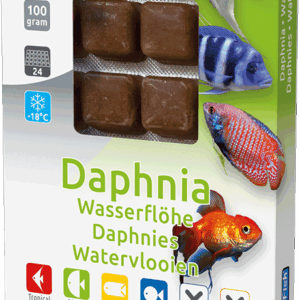 Daphnia
