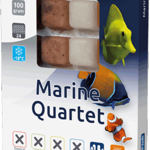 Marine Quartet