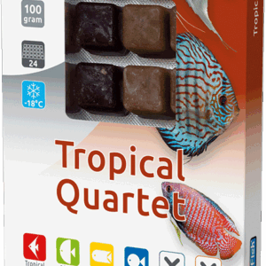 Tropical Quartet